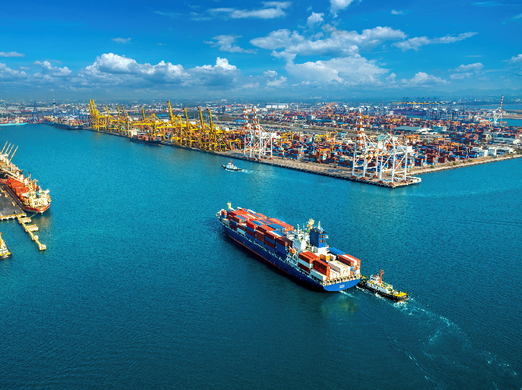 Logistics and supply chain Projects